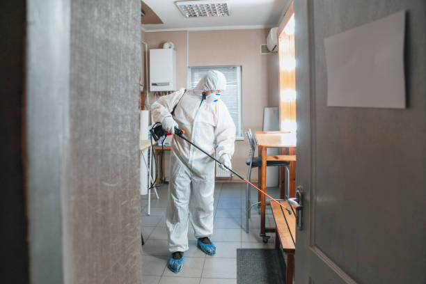 Trusted Lima, PA Mold Inspection, Removal & Remediation Experts